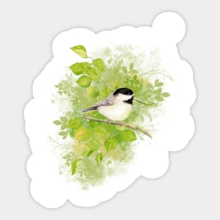 Watercolor Chickadee Bird Nature Art Sticker